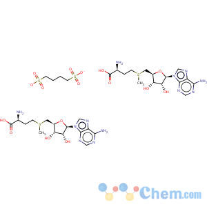 CAS No:29908-03-0 S-Adenosyl-L-methionine