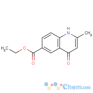 CAS No:300590-94-7 ethyl 2-methyl-4-oxo-1H-quinoline-6-carboxylate