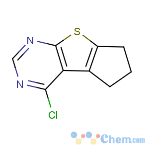 CAS No:300816-22-2 1-chloro-7,8-dihydro-6H-cyclopenta[2,3]thieno[2,4-d]pyrimidine