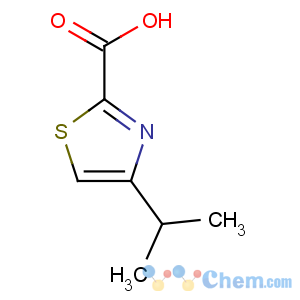 CAS No:300831-06-5 4-propan-2-yl-1,3-thiazole-2-carboxylic acid