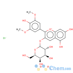 CAS No:30113-37-2 1-Benzopyrylium, 3-(b-D-galactopyranosyloxy)-5,7-dihydroxy-2-(4-hydroxy-3,5-dimethoxyphenyl)-,chloride (1:1)