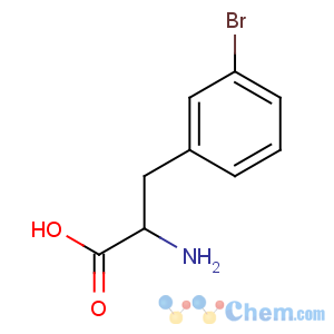CAS No:30163-20-3 2-amino-3-(3-bromophenyl)propanoic acid