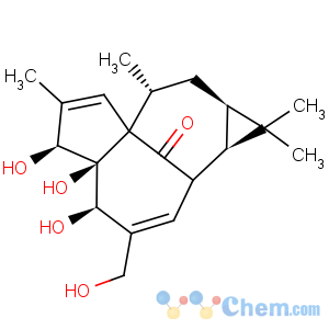 CAS No:30220-46-3 Ingenol