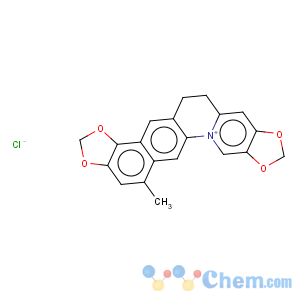 CAS No:30243-28-8 Bis[1,3]benzodioxolo[5,6-a:4',5'-g]quinolizinium,6,7-dihydro-13-methyl-