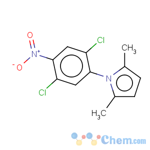 CAS No:302901-02-6 1H-Pyrrole,1-(2,5-dichloro-4-nitrophenyl)-2,5-dimethyl-