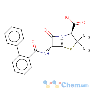 CAS No:304-43-8 4-Thia-1-azabicyclo[3.2.0]heptane-2-carboxylicacid, 6-[([1,1'-biphenyl]-2-ylcarbonyl)amino]-3,3-dimethyl-7-oxo-, (2S,5R,6R)-