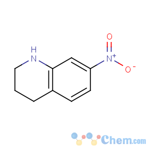 CAS No:30450-62-5 7-nitro-1,2,3,4-tetrahydroquinoline