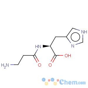 CAS No:305-84-0 L-Carnosine