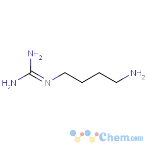 CAS No:306-60-5 Guanidine,N-(4-aminobutyl)-