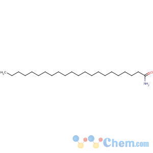 CAS No:3061-75-4 docosanamide