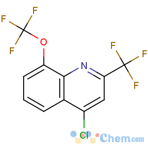 CAS No:306935-27-3 4-chloro-8-(trifluoromethoxy)-2-(trifluoromethyl)quinoline