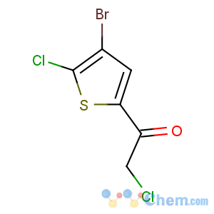 CAS No:306935-99-9 1-(4-bromo-5-chlorothiophen-2-yl)-2-chloroethanone