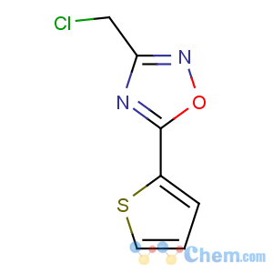 CAS No:306936-06-1 3-(chloromethyl)-5-thiophen-2-yl-1,2,4-oxadiazole