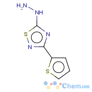 CAS No:306936-74-3 1,2,4-Thiadiazole,5-hydrazinyl-3-(2-thienyl)-