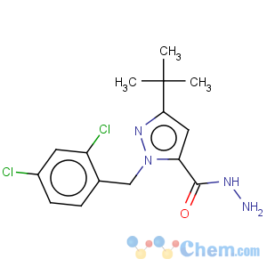 CAS No:306937-07-5 1H-Pyrazole-5-carboxylicacid, 1-[(2,4-dichlorophenyl)methyl]-3-(1,1-dimethylethyl)-, hydrazide