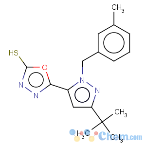 CAS No:306937-16-6 5-[3-(tert-butyl)-1-(3-methylbenzyl)-1H-pyrazol-5-yl]-1,3,4-oxadiazole-2-thiol