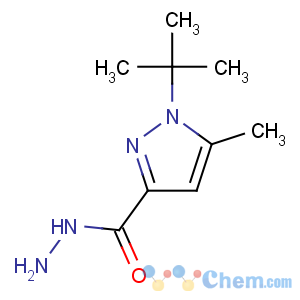 CAS No:306937-23-5 1-tert-butyl-5-methylpyrazole-3-carbohydrazide