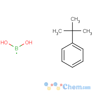 CAS No:306937-27-9 tert-butylbenzene