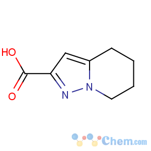 CAS No:307313-03-7 4,5,6,7-tetrahydropyrazolo[1,5-a]pyridine-2-carboxylic acid