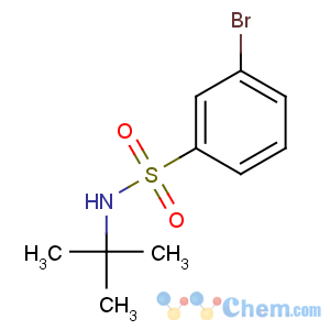 CAS No:308283-47-8 3-bromo-N-tert-butylbenzenesulfonamide