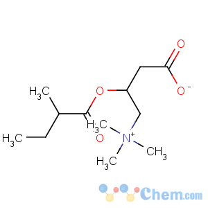 CAS No:31023-25-3 3-(2-methylbutanoyloxy)-4-(trimethylazaniumyl)butanoate