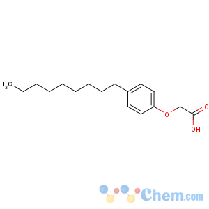 CAS No:3115-49-9 2-(4-nonylphenoxy)acetic acid