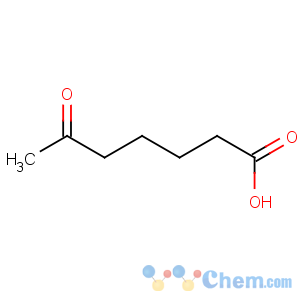 CAS No:3128-07-2 6-oxoheptanoic acid