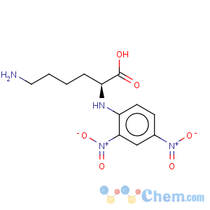 CAS No:3130-02-7 Lysine,N2-(2,4-dinitrophenyl)-