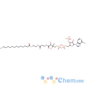CAS No:3130-72-1 Coenzyme A,S-tetradecanoate