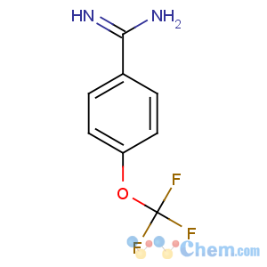 CAS No:313240-72-1 4-(trifluoromethoxy)benzenecarboximidamide