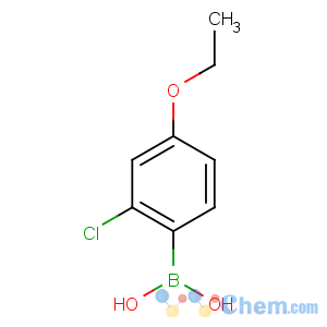 CAS No:313545-44-7 (2-chloro-4-ethoxyphenyl)boronic acid