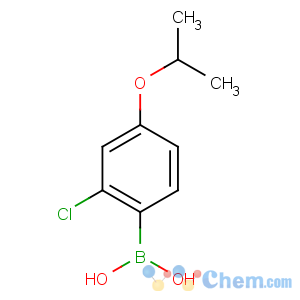 CAS No:313545-47-0 (2-chloro-4-propan-2-yloxyphenyl)boronic acid