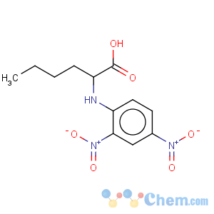 CAS No:31356-36-2 Norleucine,N-(2,4-dinitrophenyl)-