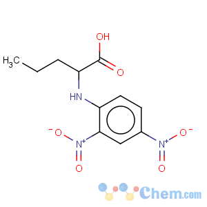 CAS No:31356-37-3 Norvaline,N-(2,4-dinitrophenyl)-
