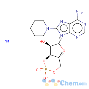 CAS No:31357-06-9 Adenosine,8-(1-piperidinyl)-, cyclic 3',5'-(hydrogen phosphate)