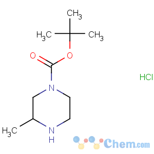 CAS No:313657-42-0 tert-butyl 3-methylpiperazine-1-carboxylate