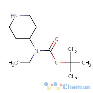 CAS No:313977-45-6 tert-butyl N-ethyl-N-piperidin-4-ylcarbamate