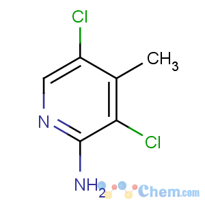 CAS No:31430-47-4 3,5-dichloro-4-methylpyridin-2-amine