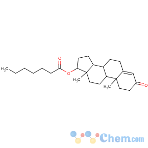 CAS No:315-37-7 [(8R,9S,10R,13S,14S,17S)-10,13-dimethyl-3-oxo-1,2,6,7,8,9,11,12,14,15,<br />16,17-dodecahydrocyclopenta[a]phenanthren-17-yl] heptanoate