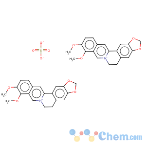 CAS No:316-41-6 Berberine sulfate