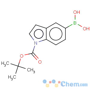 CAS No:317830-84-5 1H-Indole-1-carboxylicacid, 5-borono-, 1-(1,1-dimethylethyl) ester