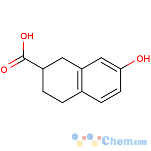 CAS No:31846-36-3 7-hydroxy-1,2,3,4-tetrahydronaphthalene-2-carboxylic acid