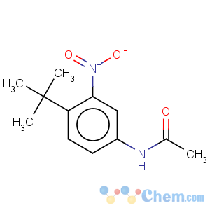 CAS No:31951-11-8 Acetamide,N-[4-(1,1-dimethylethyl)-3-nitrophenyl]-