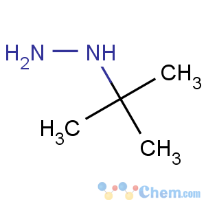 CAS No:32064-67-8 Hydrazine,(1,1-dimethylethyl)-