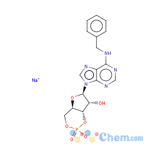 CAS No:32115-08-5 Adenosine,N-(phenylmethyl)-, cyclic 3',5'-(hydrogen phosphate)