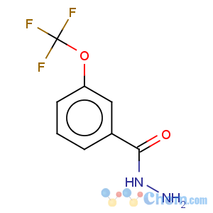 CAS No:321195-88-4 Benzoic acid,3-(trifluoromethoxy)-, hydrazide