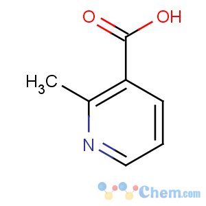 CAS No:3222-56-8 2-methylpyridine-3-carboxylic acid