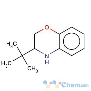 CAS No:32278-16-3 2H-1,4-Benzoxazine,3-(1,1-dimethylethyl)-3,4-dihydro-