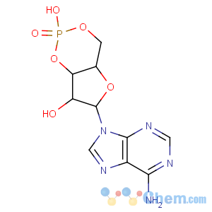 CAS No:32465-18-2 9H-Purin-6-amine,9-(3,5-O-phosphinico-b-D-arabinofuranosyl)- (9CI)