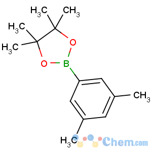 CAS No:325142-93-6 2-(3,5-dimethylphenyl)-4,4,5,5-tetramethyl-1,3,2-dioxaborolane